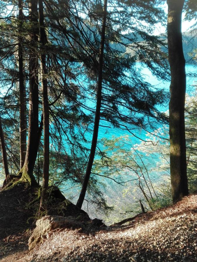 Feichtingerbauer Appartement Fuschl am See Buitenkant foto
