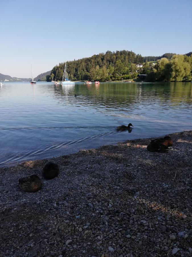 Feichtingerbauer Appartement Fuschl am See Buitenkant foto