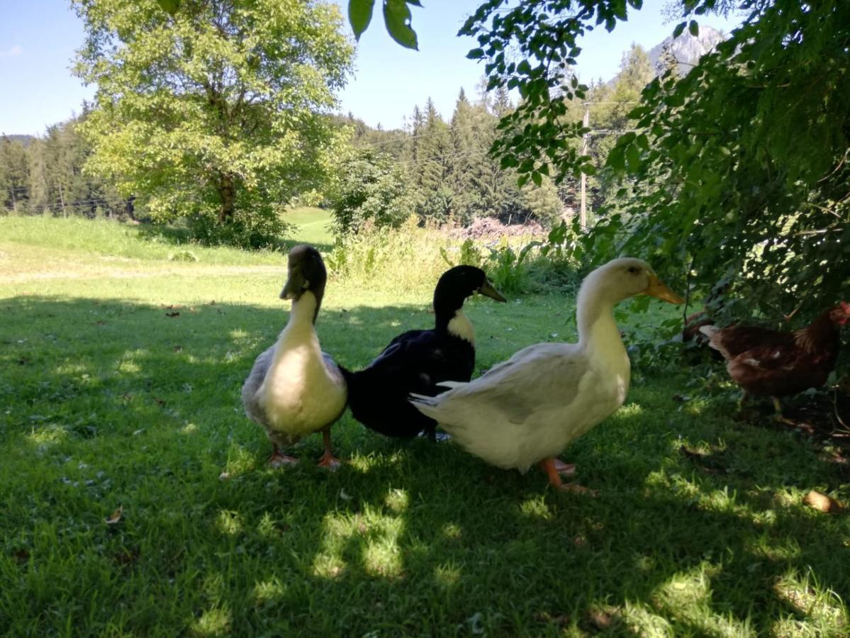 Feichtingerbauer Appartement Fuschl am See Buitenkant foto